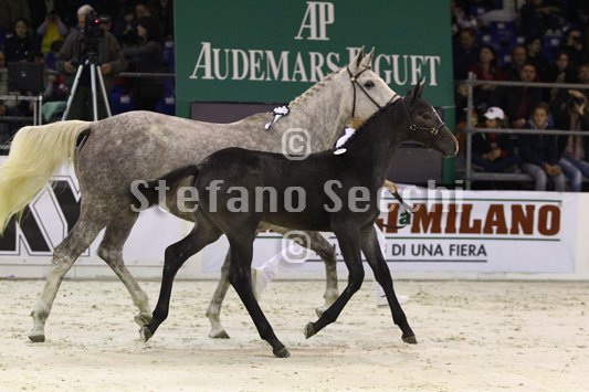 CA D ORO_MILANO_2010_SS3_3959.jpg